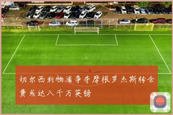 切尔西利物浦争夺摩根罗杰斯转会费或达八千万英镑